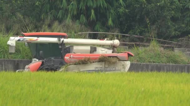 Static Shot Multifunctional Machine Rice Harvester Tractor Driving Cultivated Rice — Stock Video