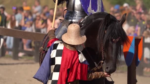 Θωρακισμένο Άλογο Ιππασίας Δίνει Pat Στα Μανίκια Του Αργή Κίνηση — Αρχείο Βίντεο