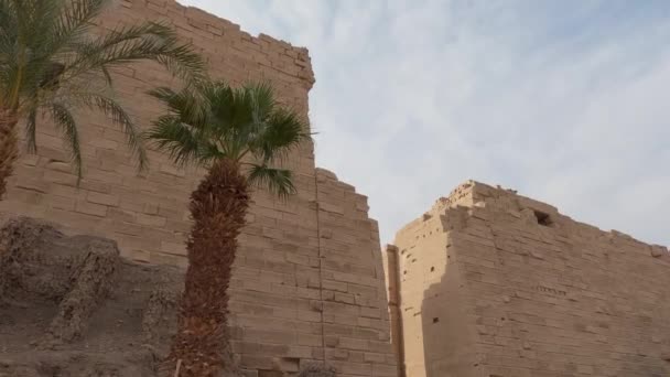 Handhållen Bild Karnak Temple Väggar Och Palmer Som Blåser Vinden — Stockvideo
