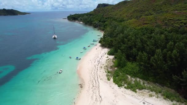 Curieuse Adası Ndaki Anse Jose Sahili Nin Havadan Görünüşü Kumlu — Stok video