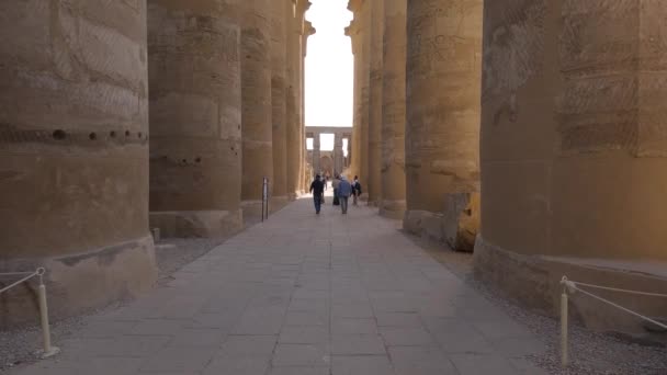 Hand Held Shot Tourists Exploring Luxor Temple Its Pillars — Video Stock