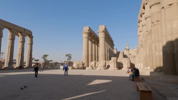 Panning Tiro Turistas Sentados Explorando Todo Terreno Luxor Temple Egito Vídeo De Bancos De Imagens