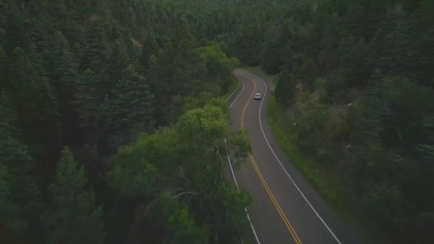 Autofahren Auf Einer Malerischen Fahrt Entlang Des Dichten Grünen Waldes — Stockvideo