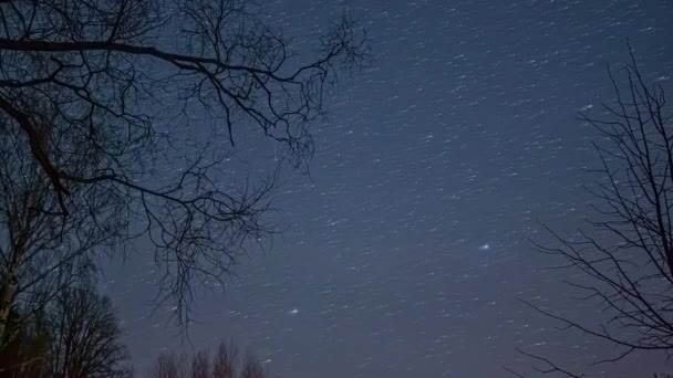 Kahle Äste Von Bäumen Mit Beweglichen Sternenspuren Der Nacht Hintergrund — Stockvideo