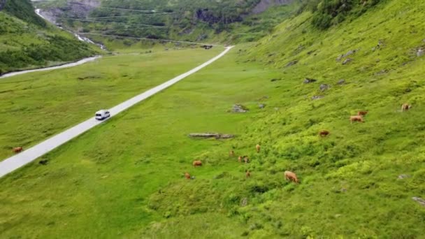 Mobil Melaju Melalui Lembah Pegunungan Hijau Yang Subur Dan Menuju — Stok Video