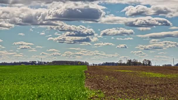 Zeitraffer Aufnahme Von Wolken Blauen Himmel Die Sich Über Landwirtschaftliches — Stockvideo