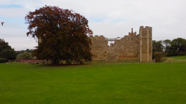 Ancient Fortification Green Field Tree England Static Day Time Shot — Video