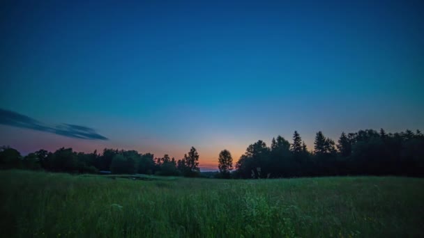 Niedriger Blickwinkel Grasland Mit Baumsilhouette Bei Sonnenaufgang Wolken Über Blauem — Stockvideo