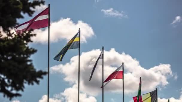 Bandeiras Nações Europeias Batendo Vento Com Nuvens Ondulantes Fundo Lapso — Vídeo de Stock