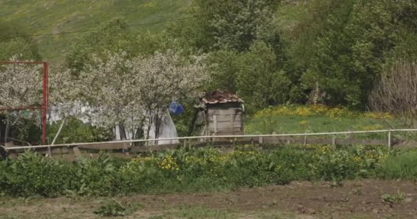 Gürcistan Samtskhe Javakheti Deki Moliti Nin Küçük Bir Köyünde Asılı — Stok video