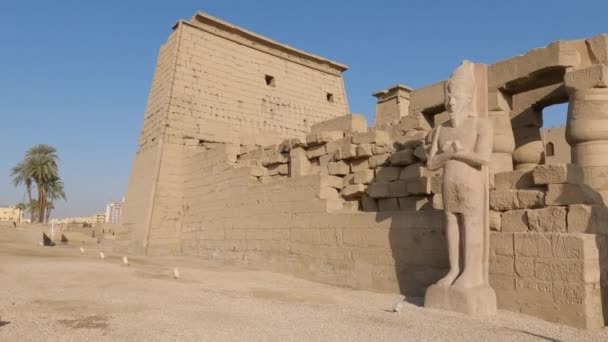 卢克索神庙的手持照片 在走道外面有一个巨大的雕像 — 图库视频影像