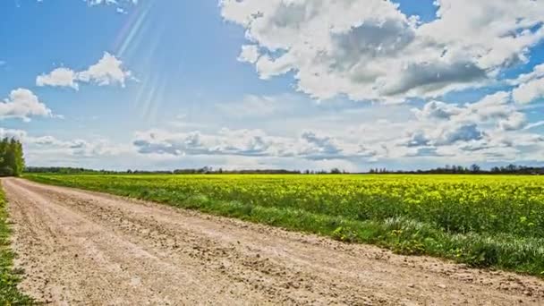 Dirt Road Rapeseed Growing Farmland Field Zoom Out Sliding Time — Stock Video