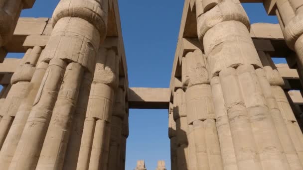 Kippschuss Des Luxor Tempels Reihe Antiker Säulen Mit Vorbeilaufenden Touristen — Stockvideo