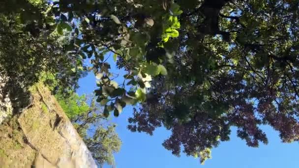 Искусственный Водопад Саду Замкового Холма Ницце Франция Tilt Pov — стоковое видео