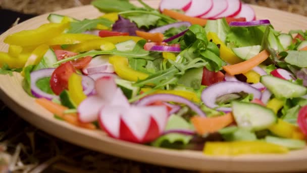 Slow Close Panning Shot Delicious Salad Onions Radishes Peppers Tomatoes — Vídeos de Stock