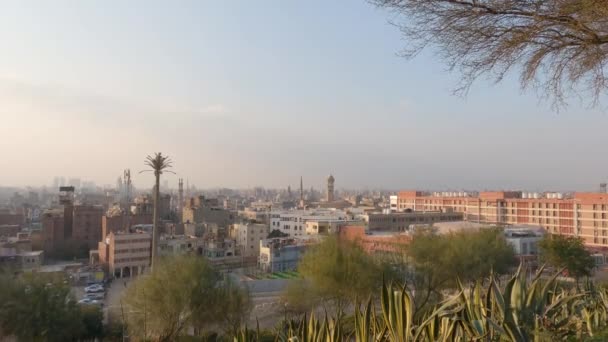 カイロの街並みは エジプトの前景の植生であるアル アズハル公園からの眺めです パンニングショット — ストック動画