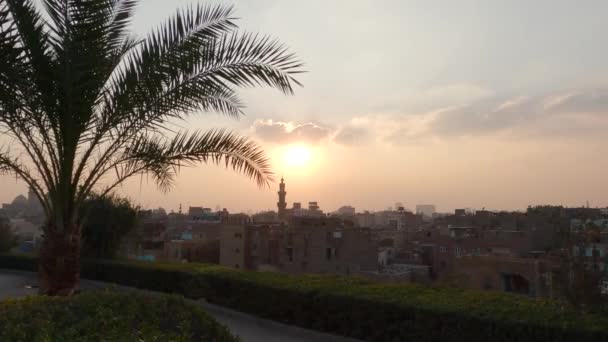 Cairo Sunset Cityscape Seen Form Sunset View Azhar Park Public — стокове відео