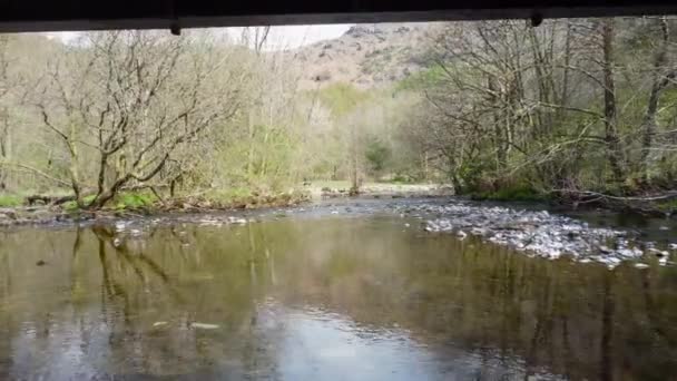 Ormanın Ortasında Akan Rothay Nehri Nin Akış Sahnesi Burası Kesinlikle — Stok video