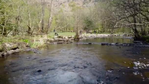 Rothay Nehri Nin Ormanın Ortasında Yüzerken Çekilmiş Bir Fotoğrafı Nehrin — Stok video