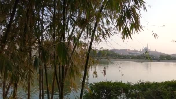 Mensen Lopen Een Aangelegde Tuin Azhar Park Cairo Egypte — Stockvideo