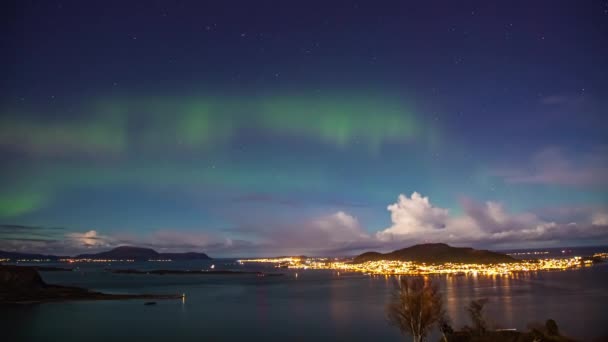 Time Lapse Northern Lights Natural Show Nordic Landscape Skjong Coastline — 비디오