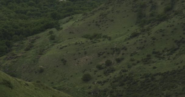 Tiro Aéreo Oscuro Pueblo Fantasma Ubicado Barranco Salvaje Arbolado Georgia — Vídeo de stock
