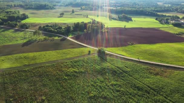Aacross Cultivated Latvian Farmland Sunrays Shining Scenic Golden Hour Landscape — Vídeo de stock