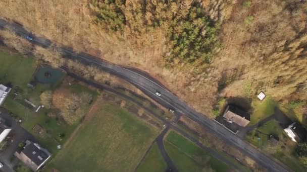 北ラインの気候変動による枯死木のトップダウンビュー Westfalia — ストック動画