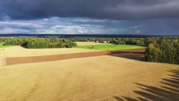 Fertile Soil Agricultural Fields Latvia Golden Hour Dark Clouds Aerial — Stock Video
