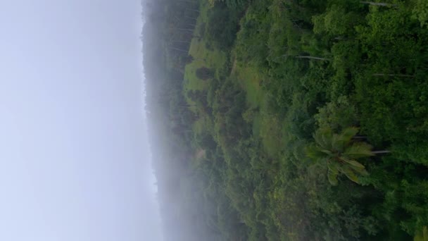Вертикальный Воздушный Полет Над Зеленым Парком Санто Серро Время Густого — стоковое видео
