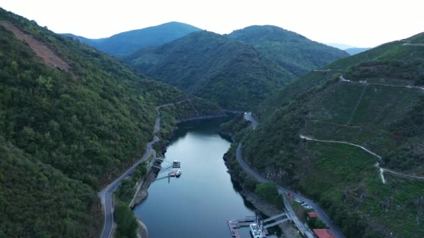 Περιοχή Αμπελοκαλλιέργειας Στη Γαλικία Ποταμός Sil Ribeira Sacra Canyon Aerial — Αρχείο Βίντεο