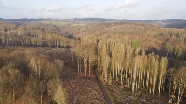 Luchtdoorgang Een Landschap Dat Beschadigd Door Ontbossing — Stockvideo
