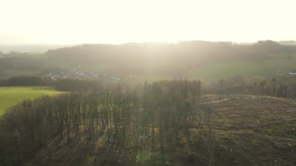 ノルトラインの森林破壊によって荒廃した風景の上の航空便 Westfalia — ストック動画