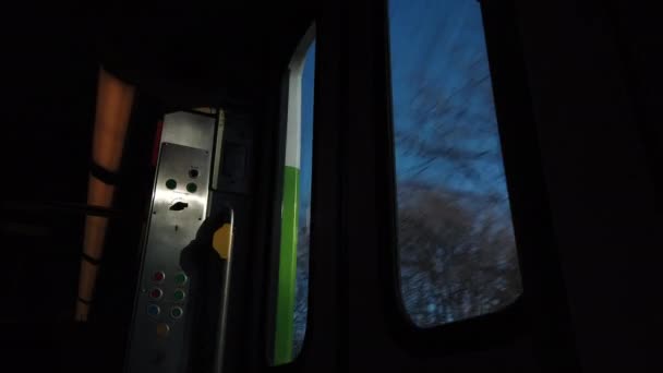 Punto Vista Dei Passeggeri Guardando Treno Rapido Movimento Gli Alberi — Video Stock