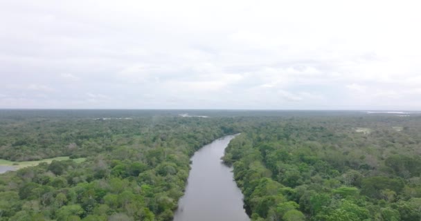 Aerial Flying Backwards Descending Rio Negro Waters Amazon — Video