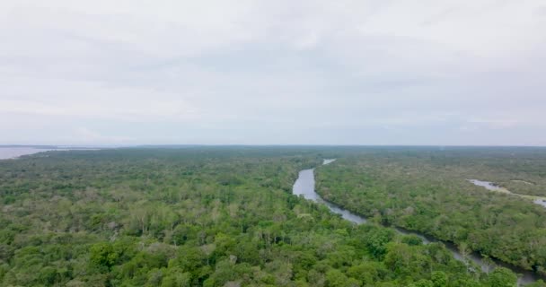 曇りの日にリオ ネグロのシーン アマゾンの風景 空中飛行前進 — ストック動画