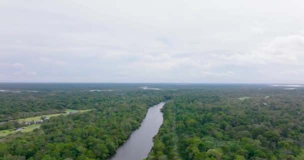 Aerial Circling Rio Negro Lush Vegetation Amazon Brazil — Vídeo de stock