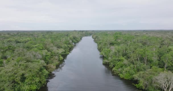 Aerial Descending Calm Dark Waters Rio Negro Amazonas Brazil — Vídeos de Stock