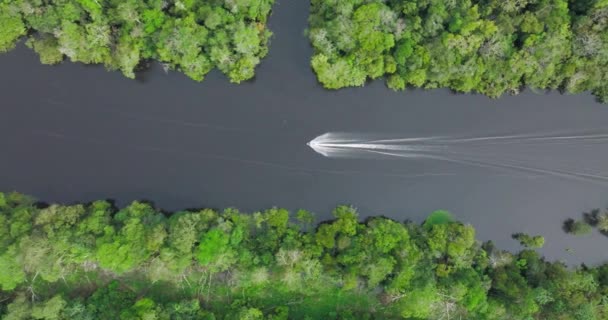 Aerial Birdseye Dolly Left Speedboat Navigating Waters Rio Negro Amazon — Video