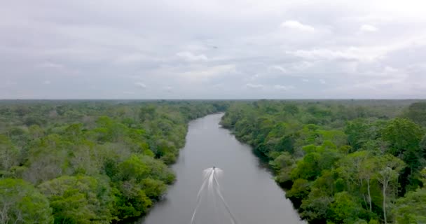 Aerial Flying Forward Rio Negro Waters Speedboat Navigating Amazonas — Video Stock