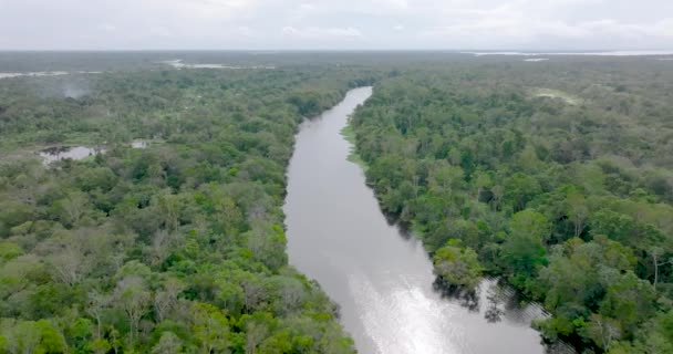 Sonnenlicht Reflektiert Das Wasser Des Rio Negro Jetski Hintergrund Luftaufnahme — Stockvideo