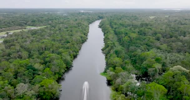 Speedboat Navigating Waters Rio Negro Amazon Aerial Flying Forward — Video
