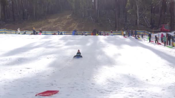 Little Asian Girl Sledding Hill Small Blue Toboggan Snow Resort — Stock Video