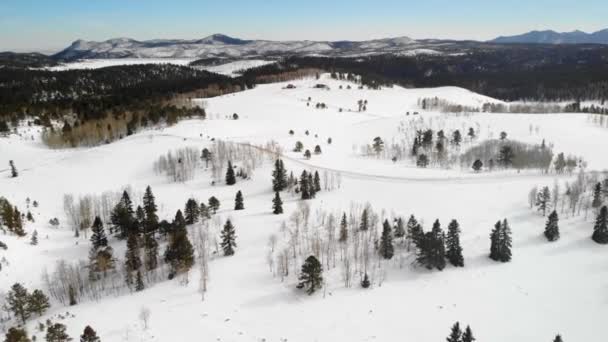 Filmová Zasněžená Krajina Stromy Pokryté Sněhem Letecký Dron Video Horizontální — Stock video