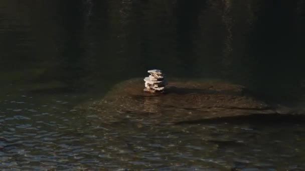 Lakeside Rocks Stones Dark Lake Water Flow Reflections Surface Sunny — стокове відео