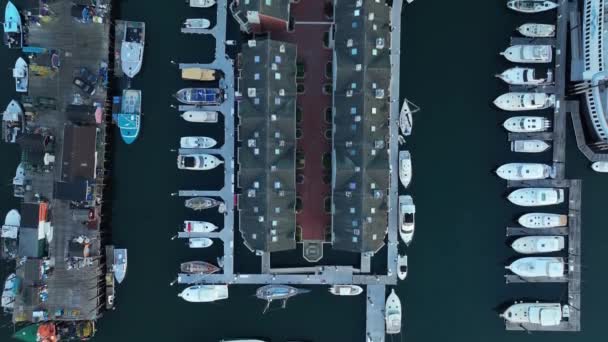 自上而下的公寓和船只停泊在码头 从无人飞机俯瞰码头和码头 — 图库视频影像