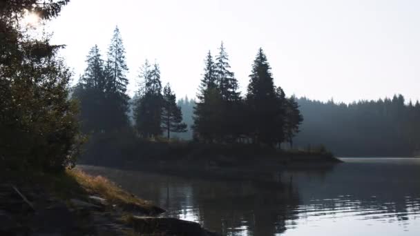 Früh Morgens Ruhiger Ruhiger Seeufer Blick Auf Den Caumasee Flims — Stockvideo