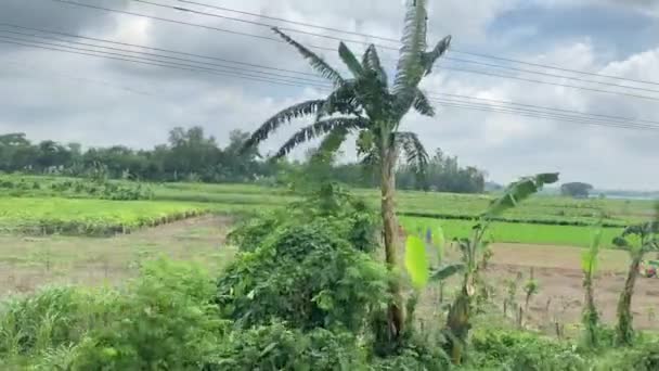 Pov Shot Beauty Rural Bangladesh Seen Train Bright Sunny Day — Vídeos de Stock