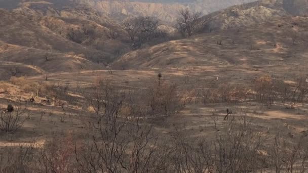 Fire Damage Due Mountain Fire Hemet California — Stock Video