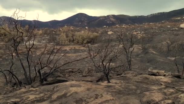 캘리포니아에서 있었던 페어뷰 이후로 펼쳐진 구릉지 — 비디오